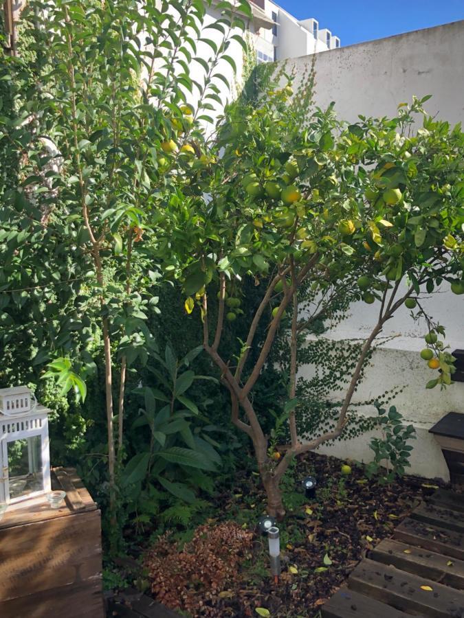 Garden Apartment Lisboa Εξωτερικό φωτογραφία